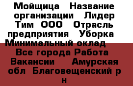 Мойщица › Название организации ­ Лидер Тим, ООО › Отрасль предприятия ­ Уборка › Минимальный оклад ­ 1 - Все города Работа » Вакансии   . Амурская обл.,Благовещенский р-н